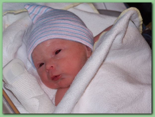 584x433 pixels (209K)